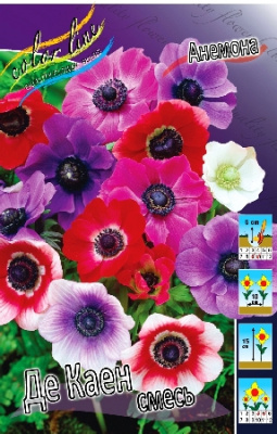 Анемона Де Каен смесь