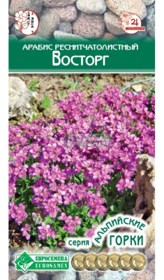 Детальная картинка товара «арабис восторг (10шт) "евросемена"»