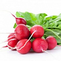 Изображение раздела «Редис»