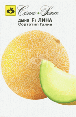 Дыня Лина F1 (5шт) 