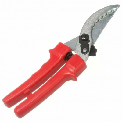 Детальная картинка товара «888404 секатор садовый 220мм/россия/»