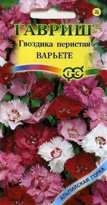 Гвоздика перис. Варьете (0,2г) 