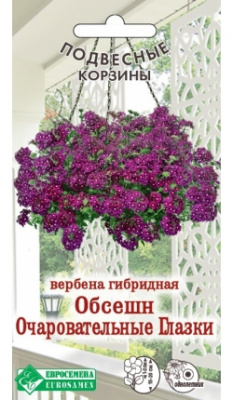 Вербена Обсешн Очаровательные Глазки (5шт) 