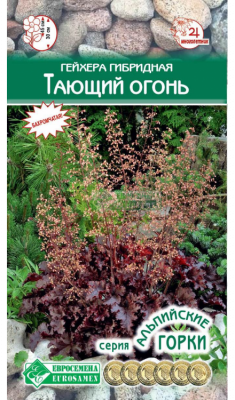 Детальная картинка товара «гейхера тающий огонь (5шт) "евросемена"»