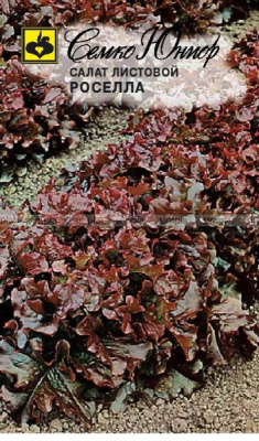 Салат лисовой Росела