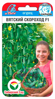 Детальная картинка товара «огурец вятский скороход f1 (6шт) "сибирский сад"»