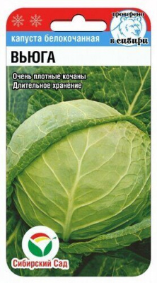 Детальная картинка товара «капуста б/к вьюга (0,3г) "сибирский сад"»