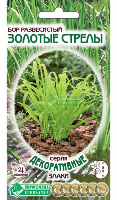 Детальная картинка товара «бор развесистый золотые стрелы (5шт) "евросемена"»