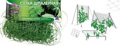 Сетка шпалерная 2м х 5 м