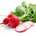 Изображение раздела «Редис,редька,брюква»