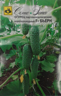 Огурец Бьерн F1 (10шт) 