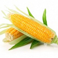 Изображение раздела «Кукуруза»