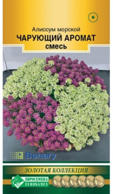 Алиссум Чарующий аромат смесь (10шт) 
