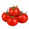 Изображение раздела «Томаты»