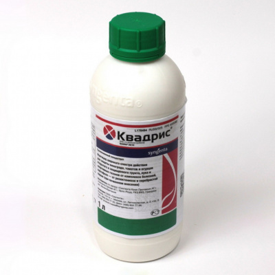 Детальная картинка товара «квадрис 10мл»