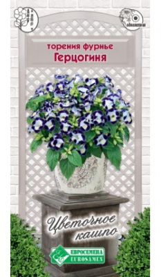 Торения Фурнье Герцогиня (5шт) 