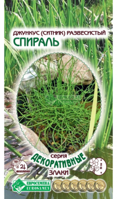 Детальная картинка товара «джункус/ситнтк/ развесистый спираль (5шт) "евросемена"»