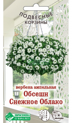 Вербена Обсешн Снежное Облако (3шт) 