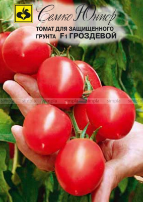 Томат Гроздевой F1