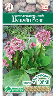 Детальная картинка товара «бадан шушайн розе (5шт) "евросемена"»