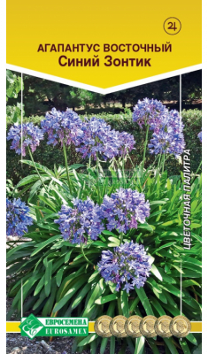 Детальная картинка товара «агапантус синий зонтик (7шт) "евросемена"»