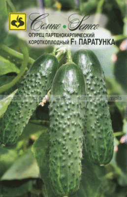 Огурец Паратунка F1