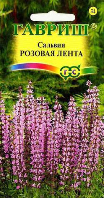 Сальвия Розовая лента Гавриш