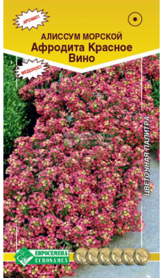 Детальная картинка товара «алиссум афродита красное вино (0,02г) "евросемена"»