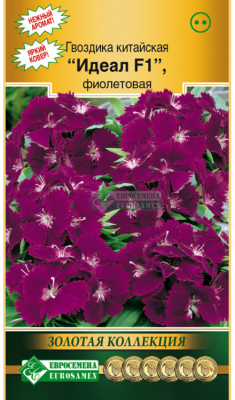 Детальная картинка товара «гвоздика китайская идеал смесь (7шт) "евросемена"»