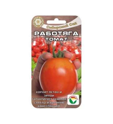 Томат Работяга (20шт) 