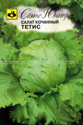Салат кочанный Тетис